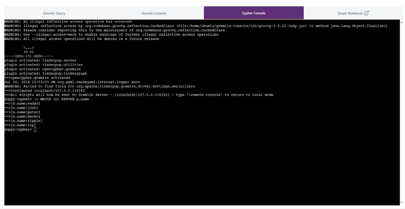 PuppyGraph Cypher query results