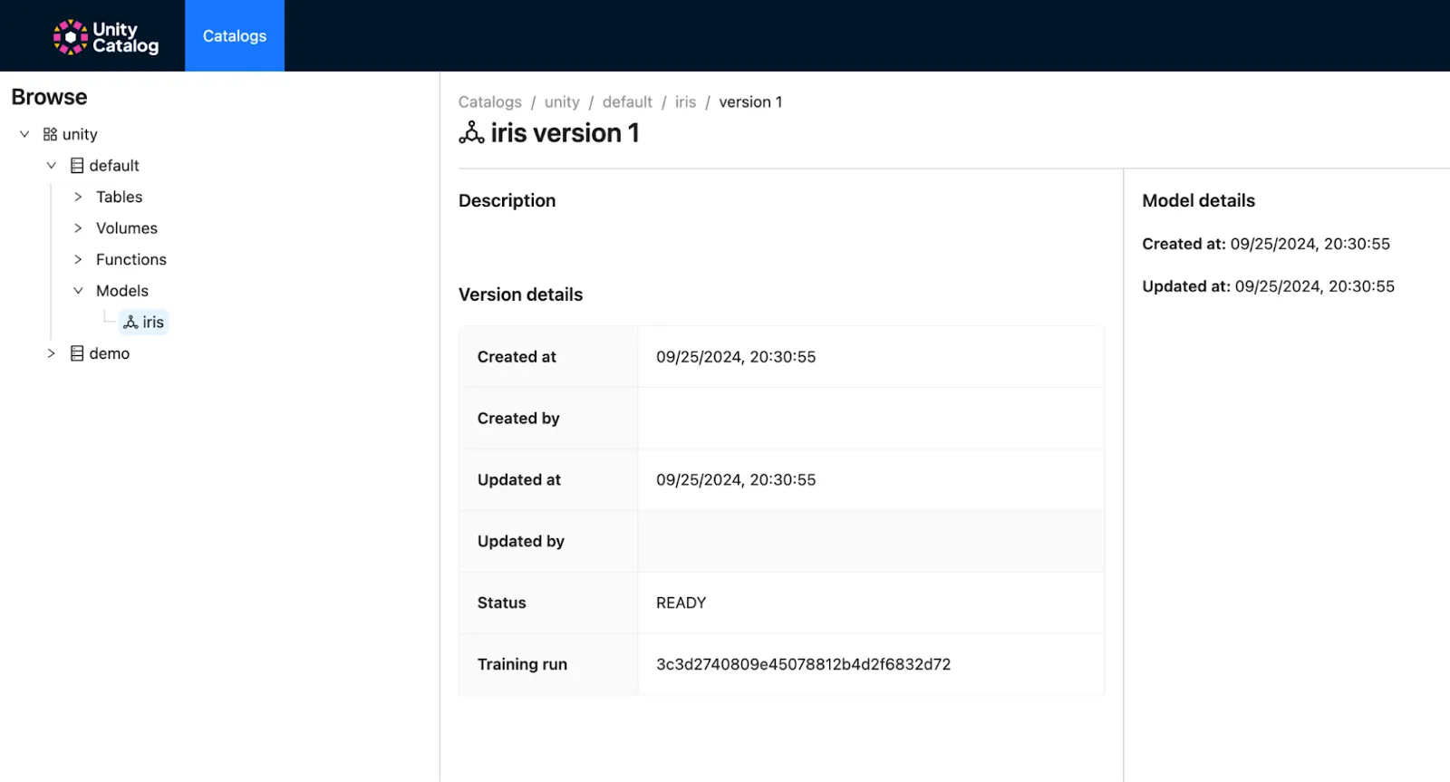 Unity Catalog UI Model View