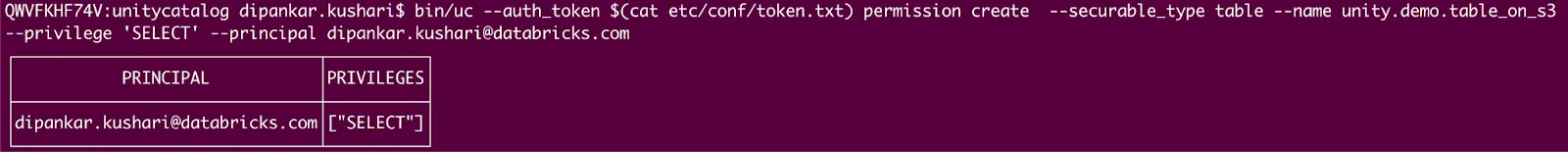 Command line interface showing a Databricks Unity Catalog command that grants 'SELECT' permission to 'dipankar.kushari@databricks.com' for the 'unity.demo.table_on_s3' table.